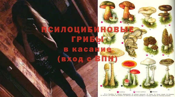 a pvp Белоозёрский