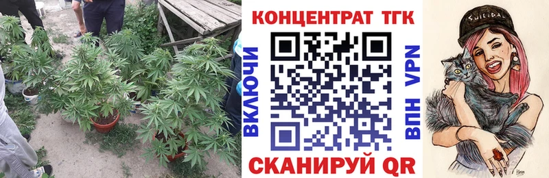 цены наркотик  Облучье  ТГК гашишное масло 
