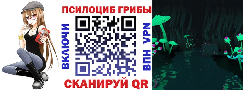 Галлюциногенные грибы мицелий купить наркотик Облучье